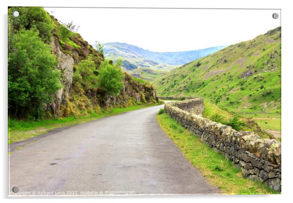 The road to Haweswater Reservoir Acrylic by Richard Long