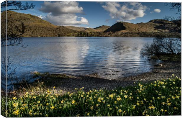 Ullswater Canvas Print by Dave Hudspeth Landscape Photography