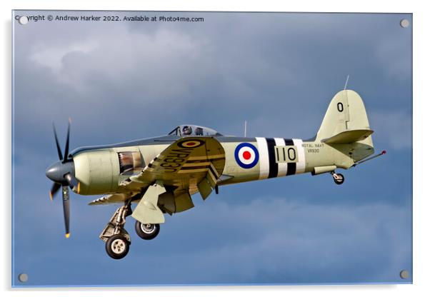 Royal Navy Fleet Air Arm Hawker Sea Fury FB.11 Acrylic by Andrew Harker