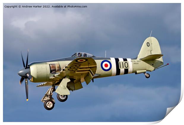 Royal Navy Fleet Air Arm Hawker Sea Fury FB.11 Print by Andrew Harker