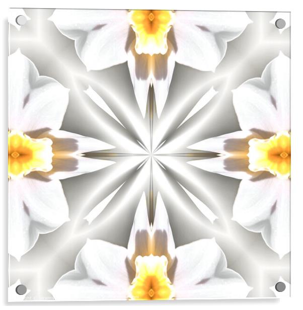 Daffodil Dream Acrylic by Jeremy Sage