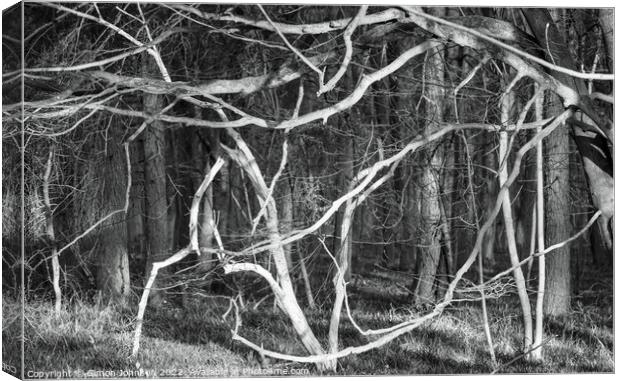 woodland chaos Canvas Print by Simon Johnson