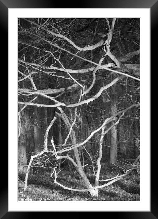 woodland chaos Framed Mounted Print by Simon Johnson