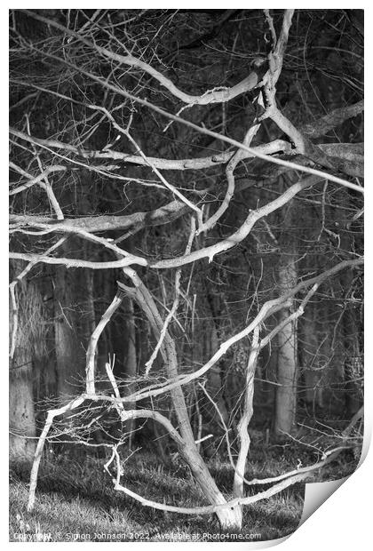 woodland chaos Print by Simon Johnson