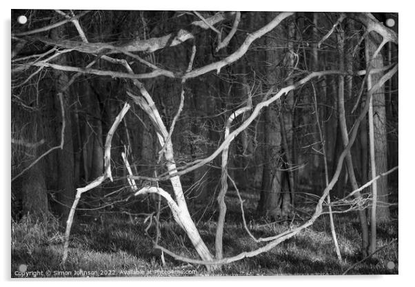Woodland shapes Acrylic by Simon Johnson