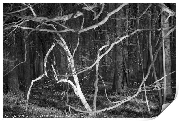 Woodland shapes Print by Simon Johnson