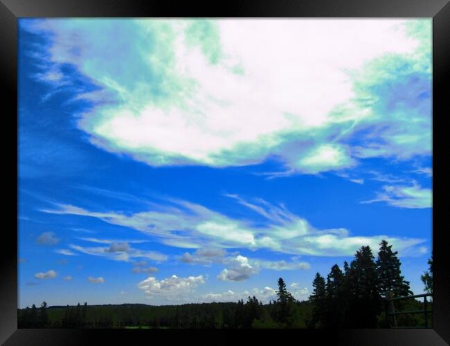 Beautiful clouds Framed Print by Stephanie Moore