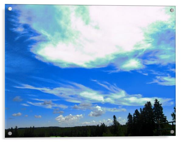 Beautiful clouds Acrylic by Stephanie Moore