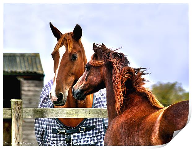 Horse Whispers Print by Tanya Hodgkiss