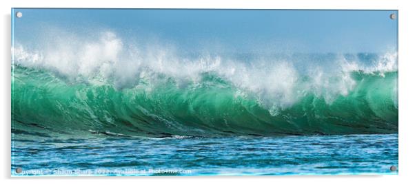 Green Wave Acrylic by Shaun Sharp