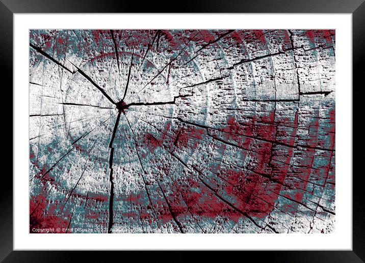 Natural concentric patterns abstract Framed Mounted Print by Errol D'Souza