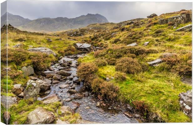 Snowdonia National Park Canvas Print by chris smith