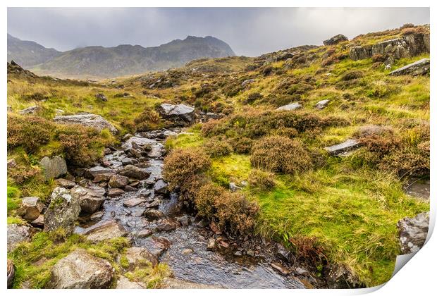 Snowdonia National Park Print by chris smith