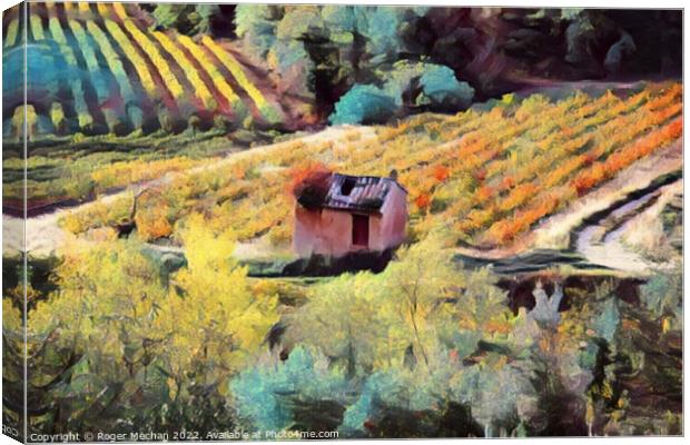 Rustic Charm of Golden Grape Vines Canvas Print by Roger Mechan