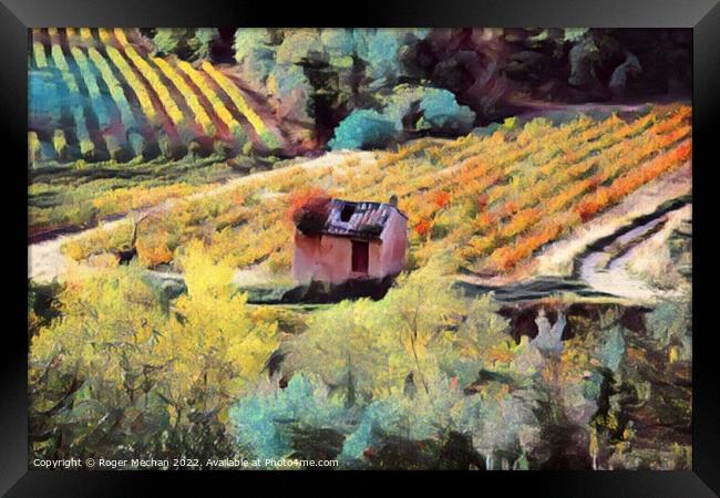 Rustic Charm of Golden Grape Vines Framed Print by Roger Mechan