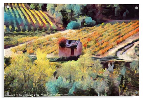 Rustic Charm of Golden Grape Vines Acrylic by Roger Mechan