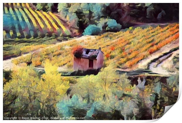 Rustic Charm of Golden Grape Vines Print by Roger Mechan