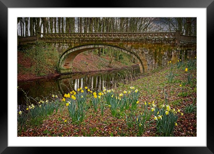Serpentine Bridge, Hardwick Park, Co. Durham Framed Mounted Print by Martyn Arnold