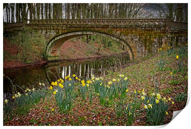 Serpentine Bridge, Hardwick Park, Co. Durham Print by Martyn Arnold