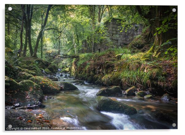 Kennall Vale Ruins, Cornwall Acrylic by Carol Herbert