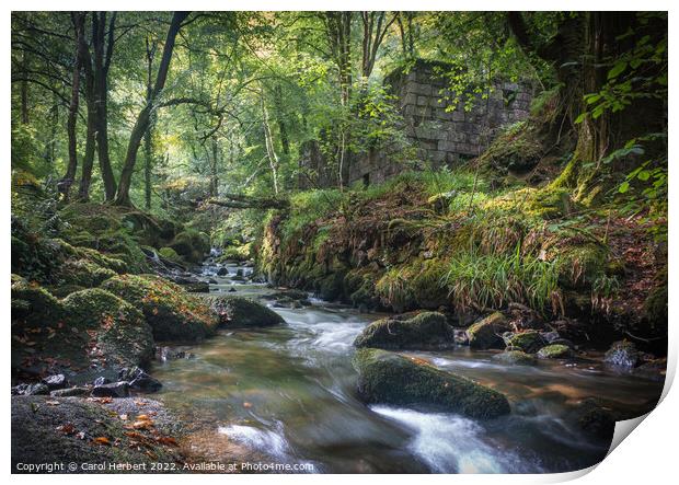 Kennall Vale Ruins, Cornwall Print by Carol Herbert