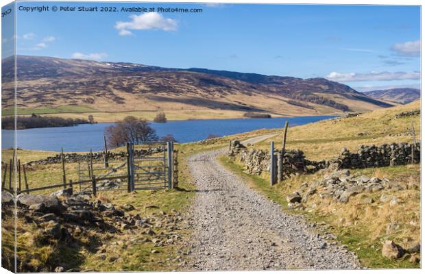 Walking at Loch Freuchie circuit at Amulree and the Rob Roy Way Canvas Print by Peter Stuart