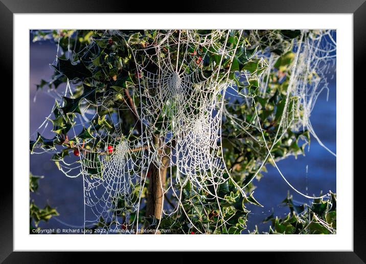 Frost covered Spider webs Framed Mounted Print by Richard Long