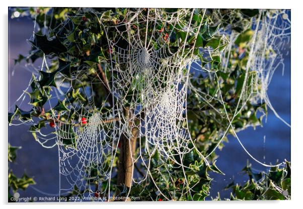 Frost covered Spider webs Acrylic by Richard Long
