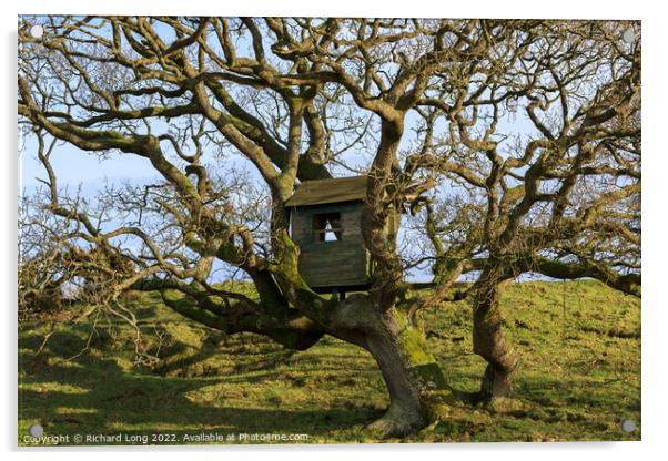 Tree house Acrylic by Richard Long