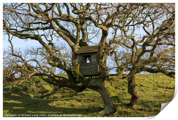 Tree house Print by Richard Long