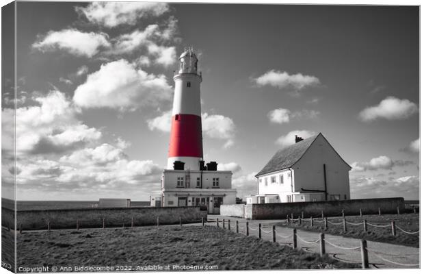 Portland lighthouse in spot colour Canvas Print by Ann Biddlecombe