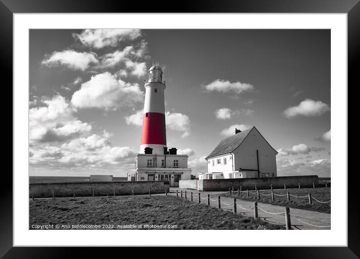 Portland lighthouse in spot colour Framed Mounted Print by Ann Biddlecombe