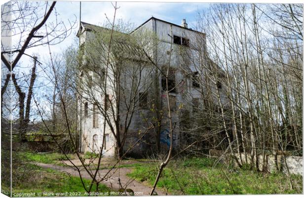 Abandoned Flour Mill Canvas Print by Mark Ward