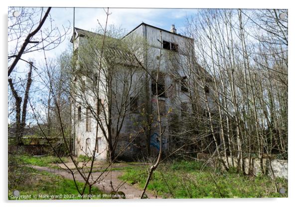 Abandoned Flour Mill Acrylic by Mark Ward