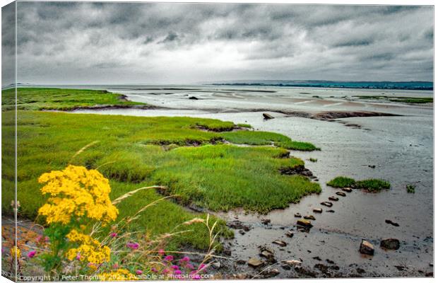 Lougher Estuary Penclawdd Canvas Print by Peter Thomas