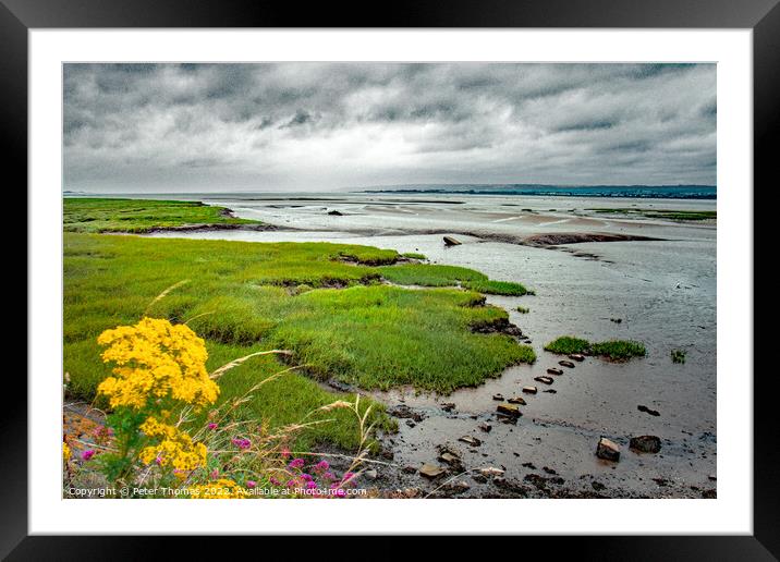 Lougher Estuary Penclawdd Framed Mounted Print by Peter Thomas