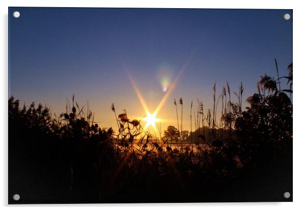 Morning sun over the horizon  Acrylic by Craig Weltz