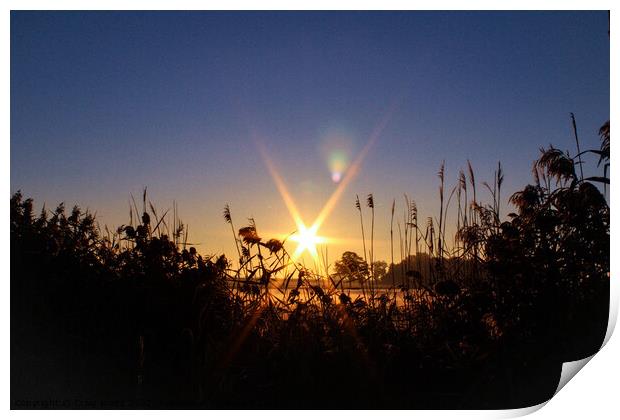 Morning sun over the horizon  Print by Craig Weltz