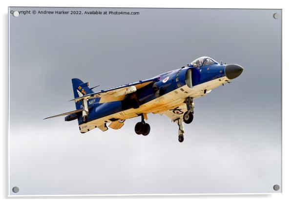 British Aerospace Sea Harrier FA.2 Acrylic by Andrew Harker