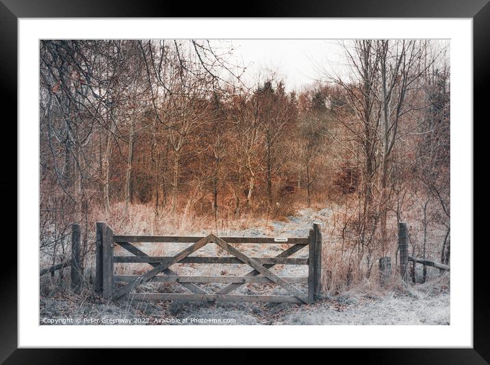 English Winter Woodland in the Frost with Wooden G Framed Mounted Print by Peter Greenway