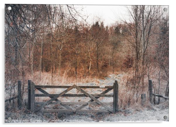 English Winter Woodland in the Frost with Wooden G Acrylic by Peter Greenway