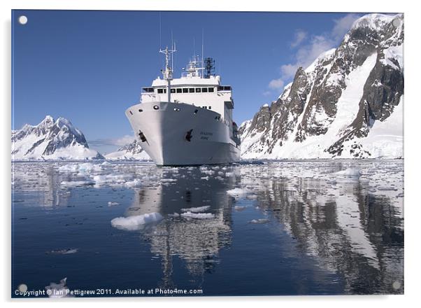 Akademik Ioffe at Petermann, Antarctica Acrylic by Ian Pettigrew