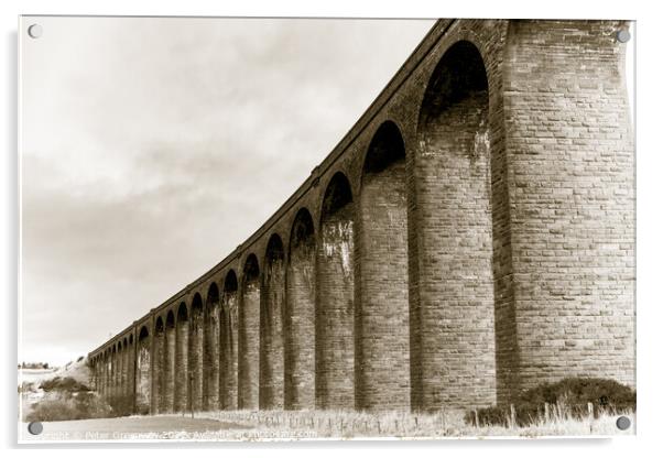 The Naim Railway Viaduct Between Daviot & Culloden, Scotland Acrylic by Peter Greenway