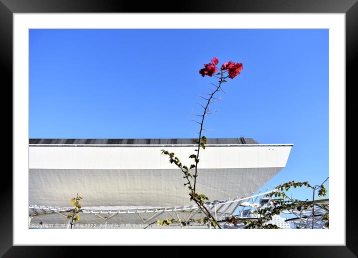Flowers against blu sky Framed Mounted Print by Stan Lihai