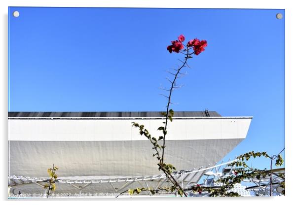 Flowers against blu sky Acrylic by Stan Lihai