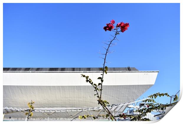 Flowers against blu sky Print by Stan Lihai