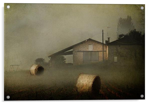 Morning Mist Acrylic by Irene Burdell