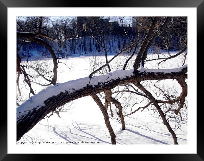 Winter Tree Framed Mounted Print by Stephanie Moore