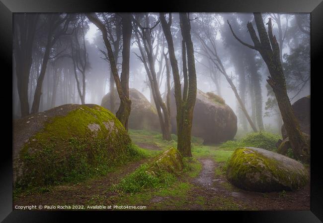 Foggy forest path in Sintra mountain, Portugal Framed Print by Paulo Rocha