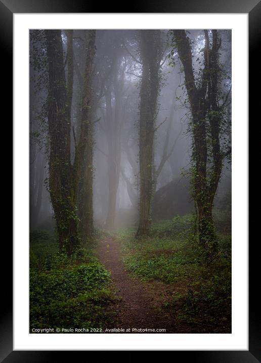 Foggy forest path in Sintra mountain, Portugal Framed Mounted Print by Paulo Rocha